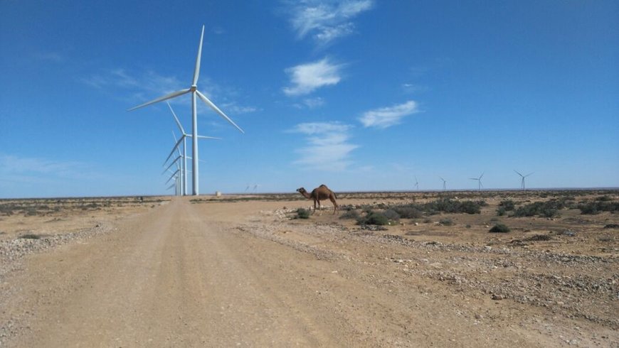 GE Renewable Energy and Nareva to build 200 MW Aftissat onshore wind farm extension in Morocco